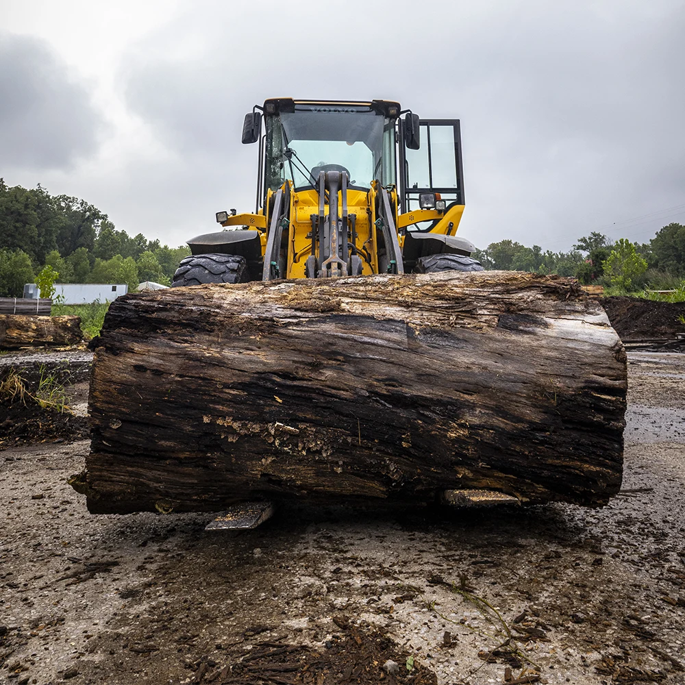 forklift carrying a fresh-cut log