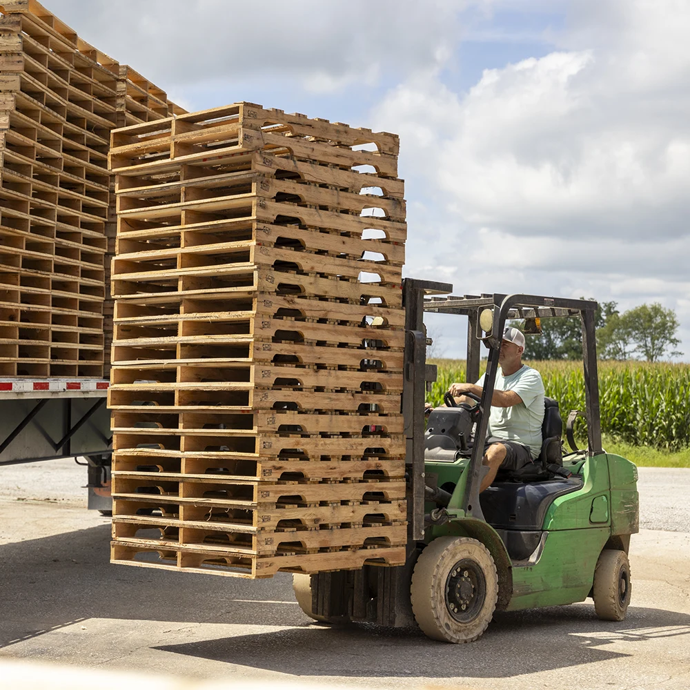 forklift transferring pallets to a flatbed truck